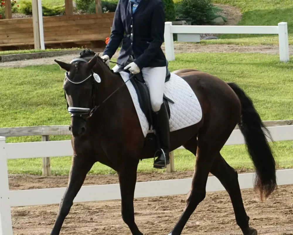 USDF Materiale Class 