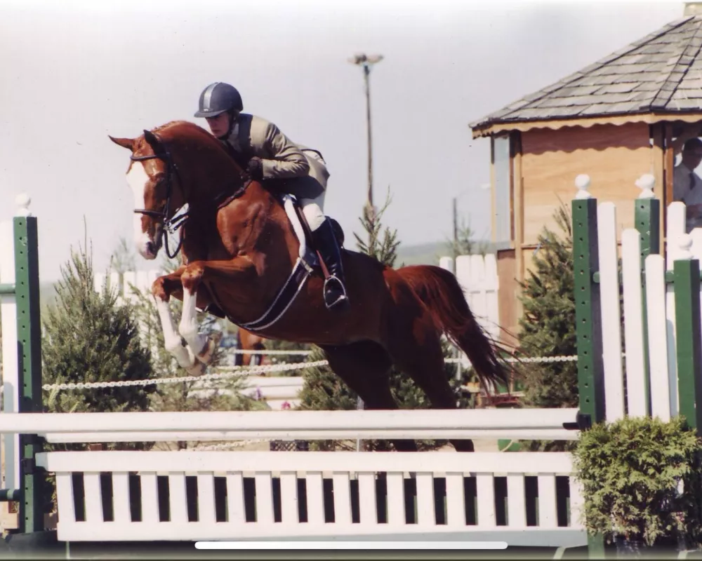 Dam's Dam, Element of Style (Fohlenpramie x TB)