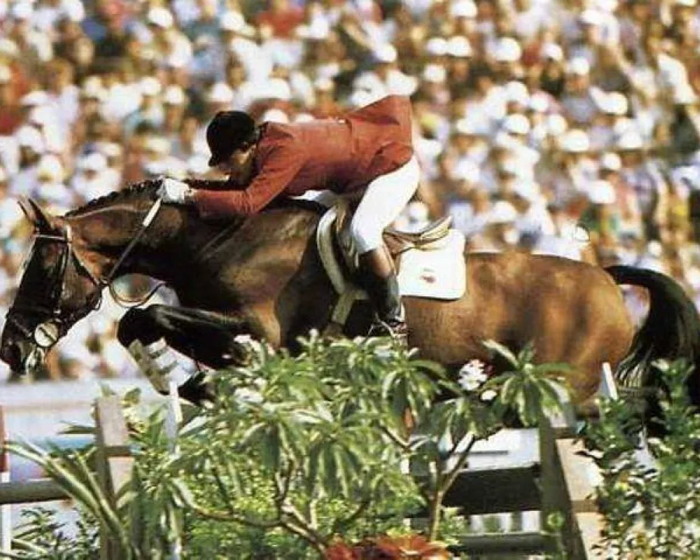 Joyau D'OrA at the 1984 Olympics