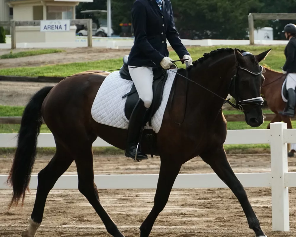 USDF Materiale Class