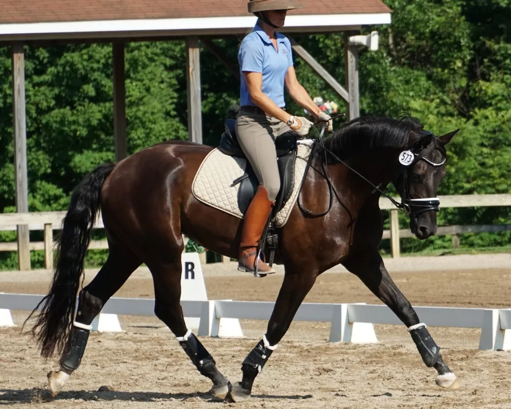 USDF Show warm up