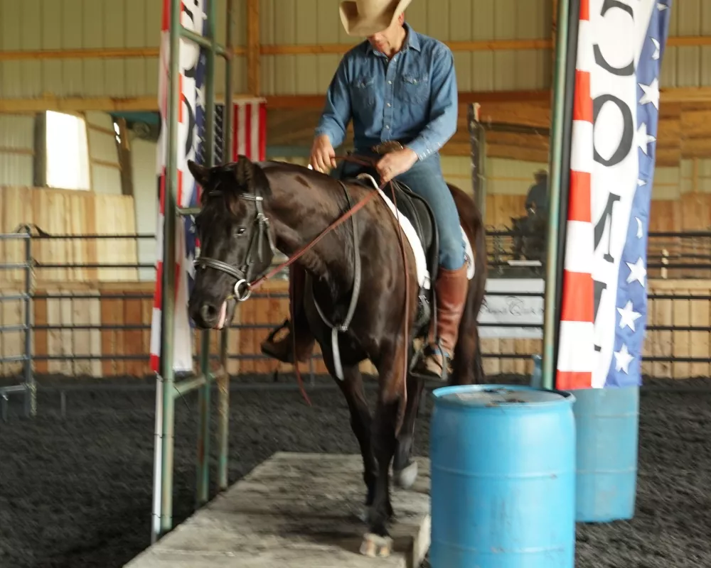 Desensitization training - rocking platform 