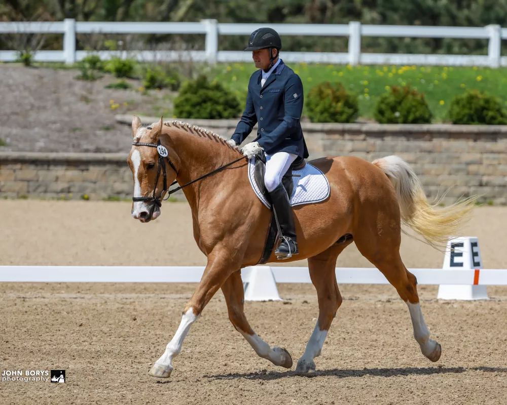 2019 show lengthened trot