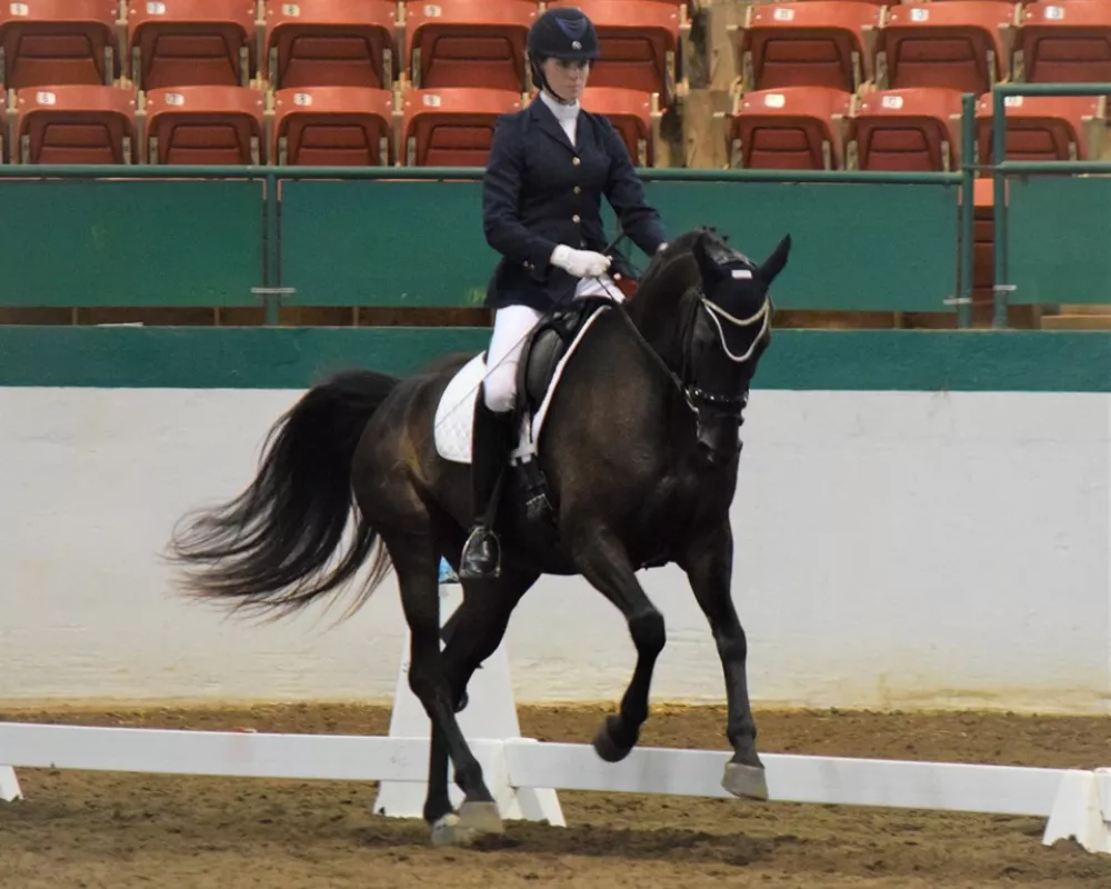 VPrSt Dekadence, sister just starting her performance career...won 2x Born in USA awards and High Scores in just a few shows qualifies for regionals and BLM's,  started under same trainer!