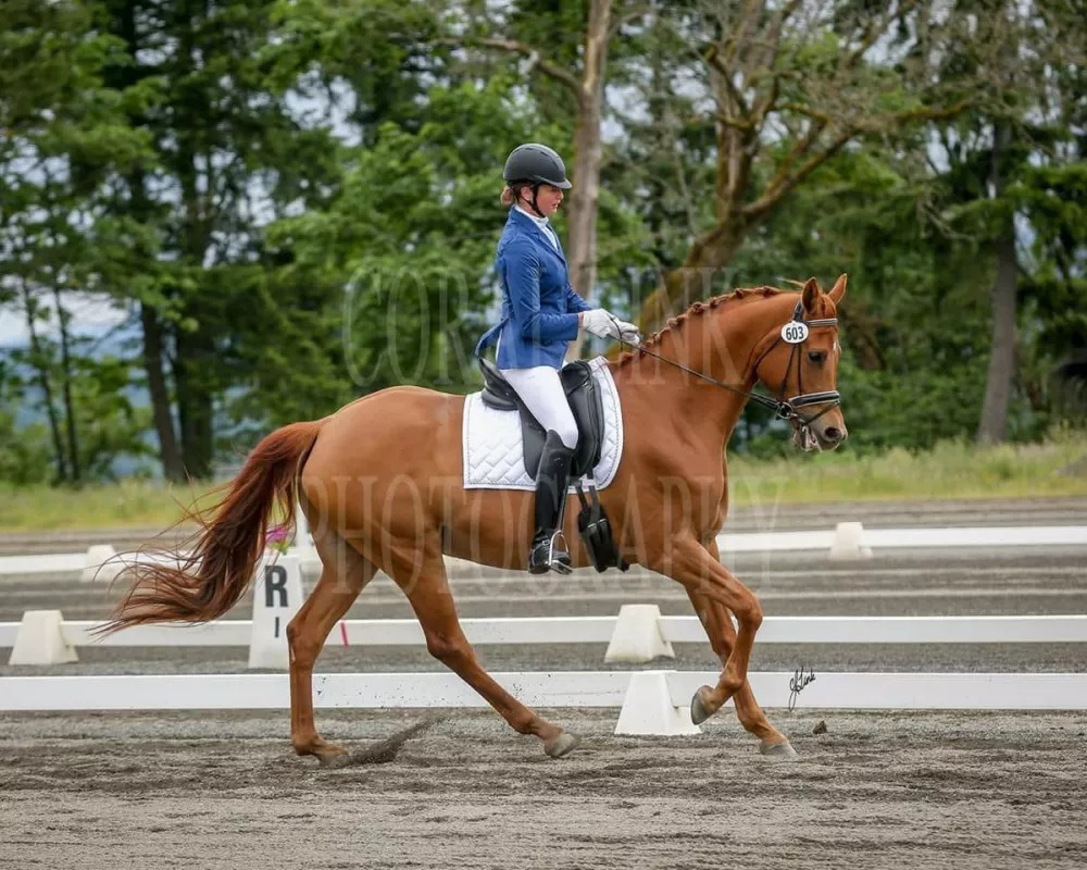 First level canter