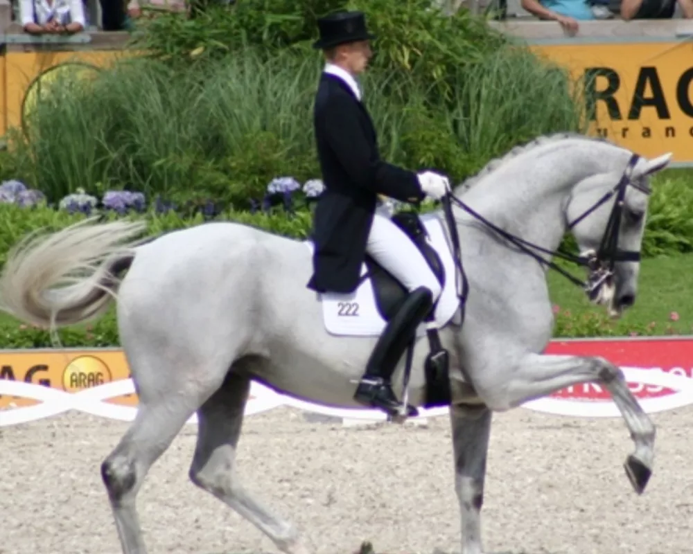 Sister Blue Hors Matine, Most watched youtube Dressage horse