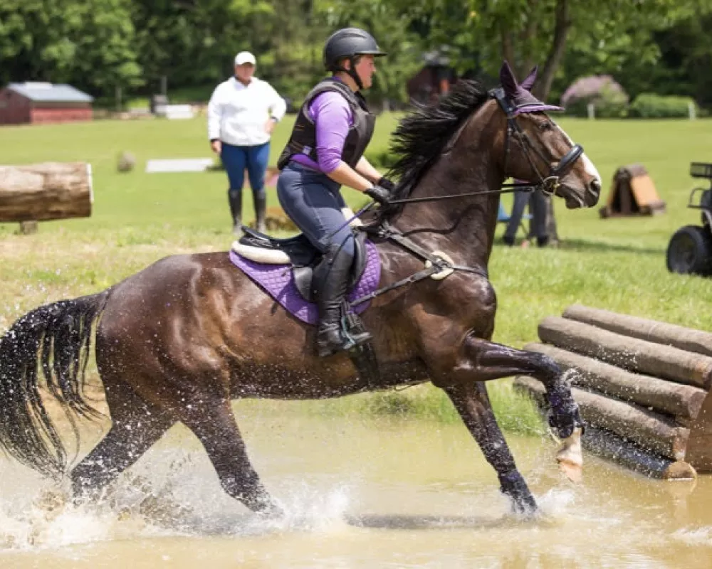 Tito going through water in June, 2019