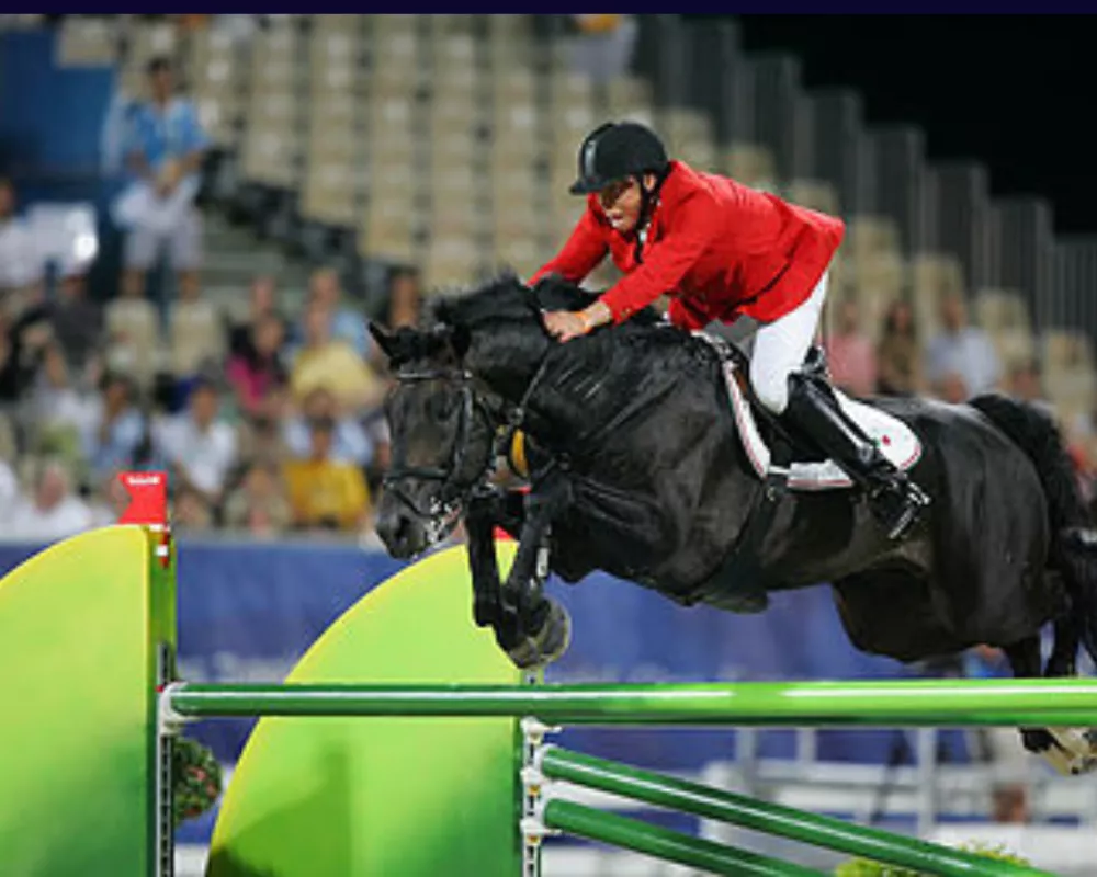 Sire Zorro aka Relevantus. Olympic competitor in the Hong Kong games. 