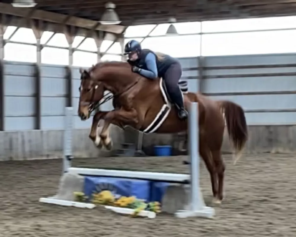 Small jump with Mary Fricklin up