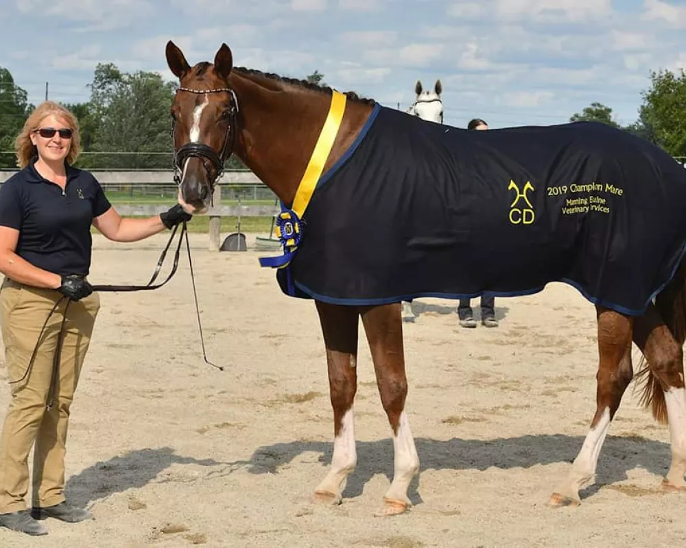 Quater Twist WSH Hanoverian mare Champion and Premium mare candidate 