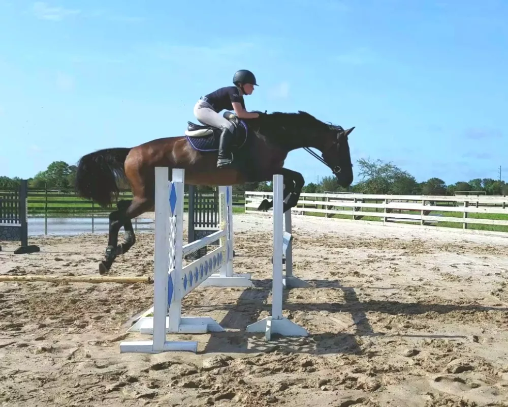 Aurelianne P prior to injury showing her jumping potential