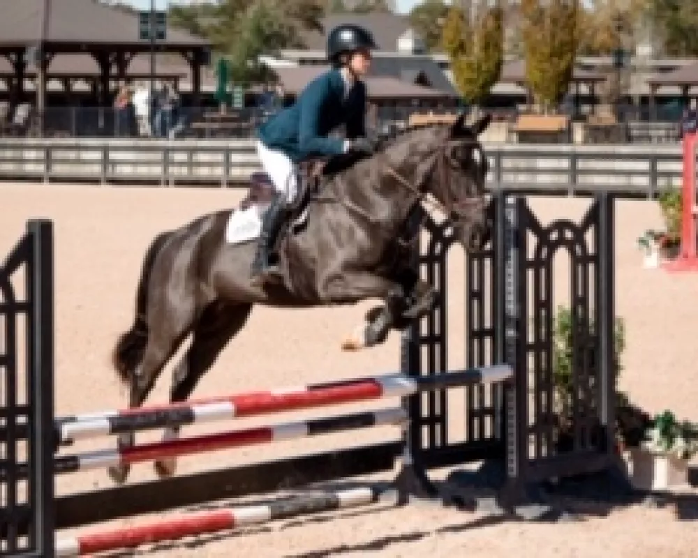 2019 Young Horse Show- Tryon International Equestrian Center