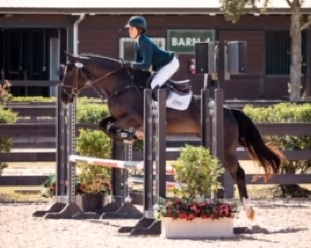  2019 Young Horse Show Tryon International Equestrian Center