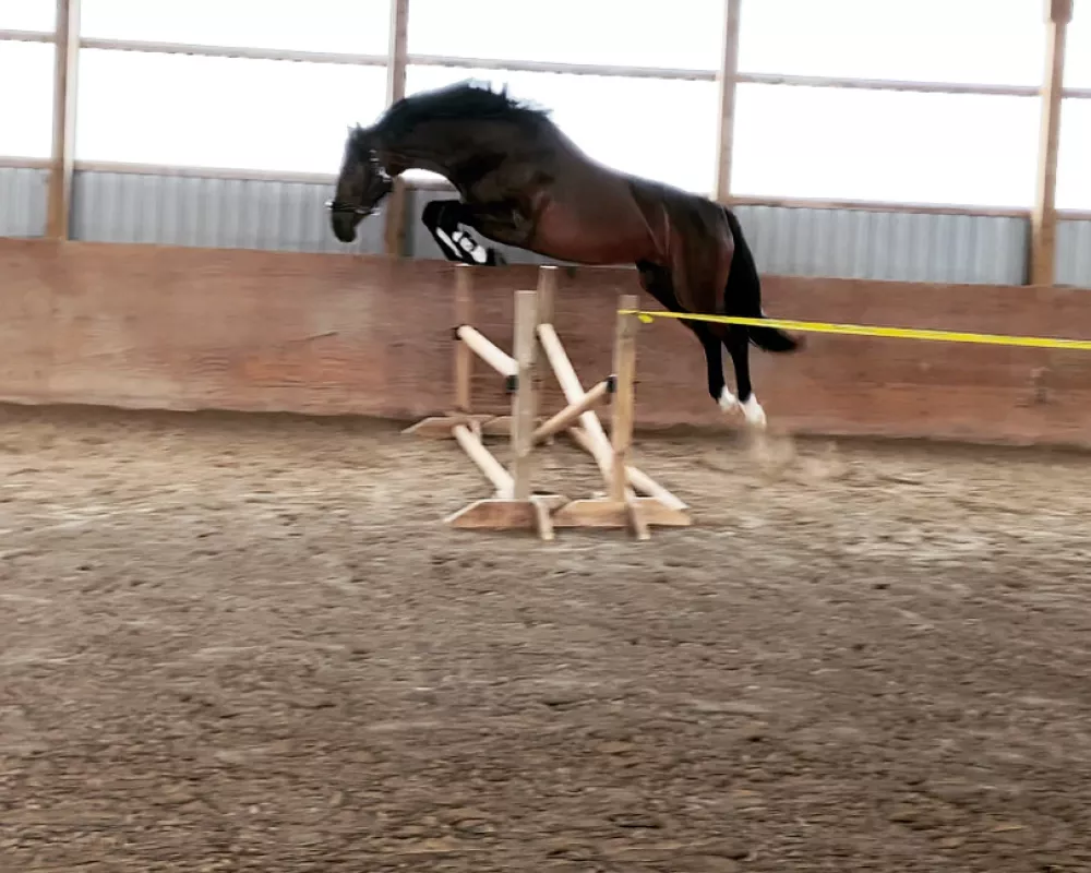 Second time ever jumping 