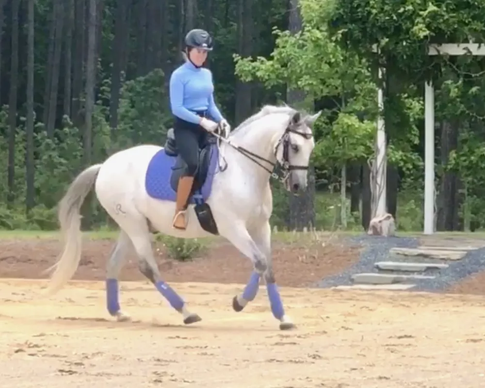 Super easy canter to sit