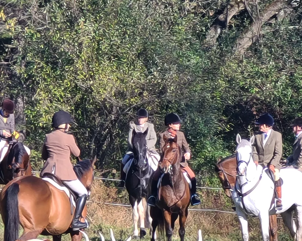 Fox hunt on 11-4-20 with Amwell Valley Hounds
