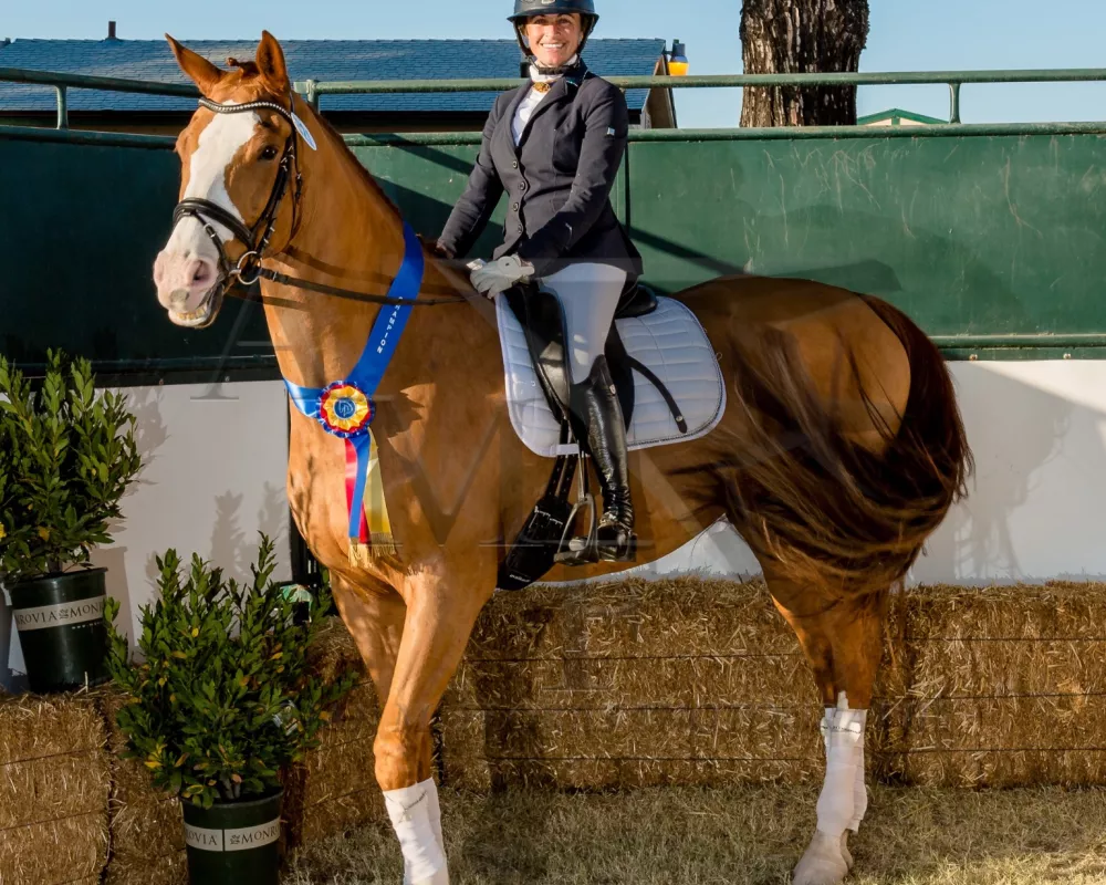 Fellini equitation deals