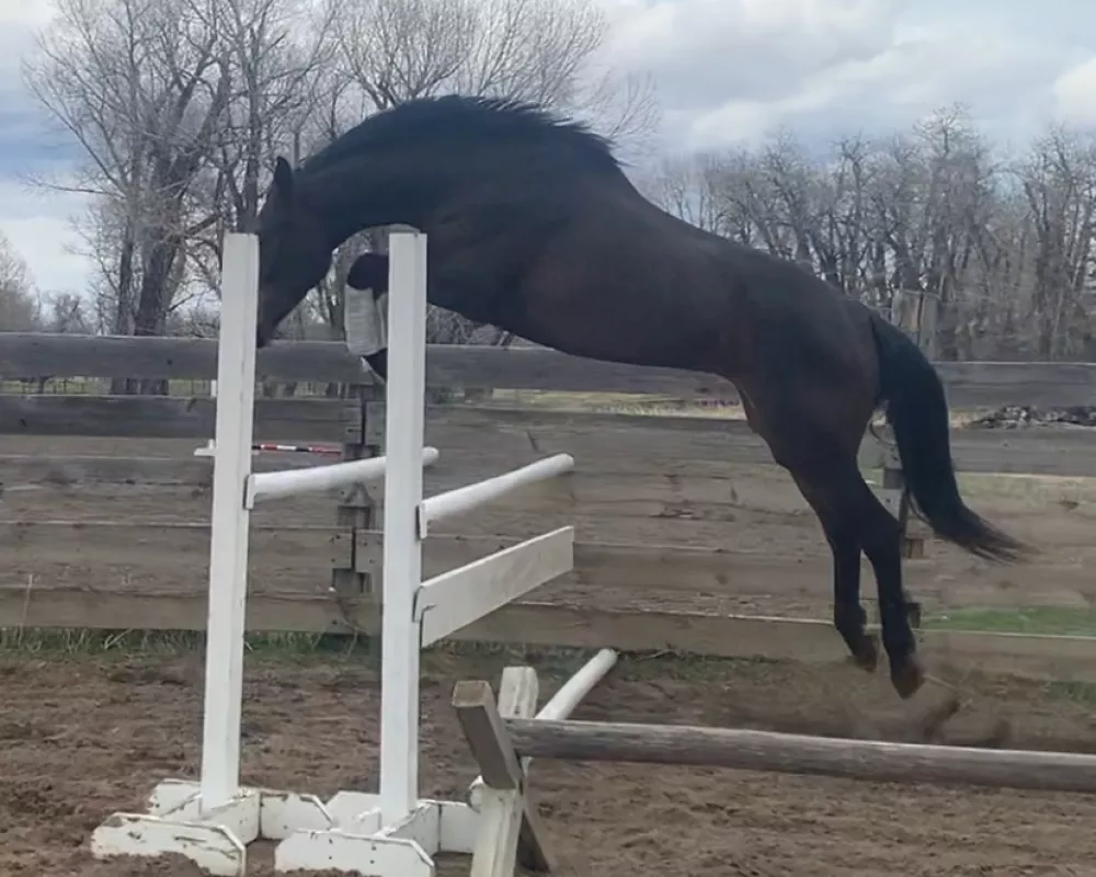 Ellouise Jumping