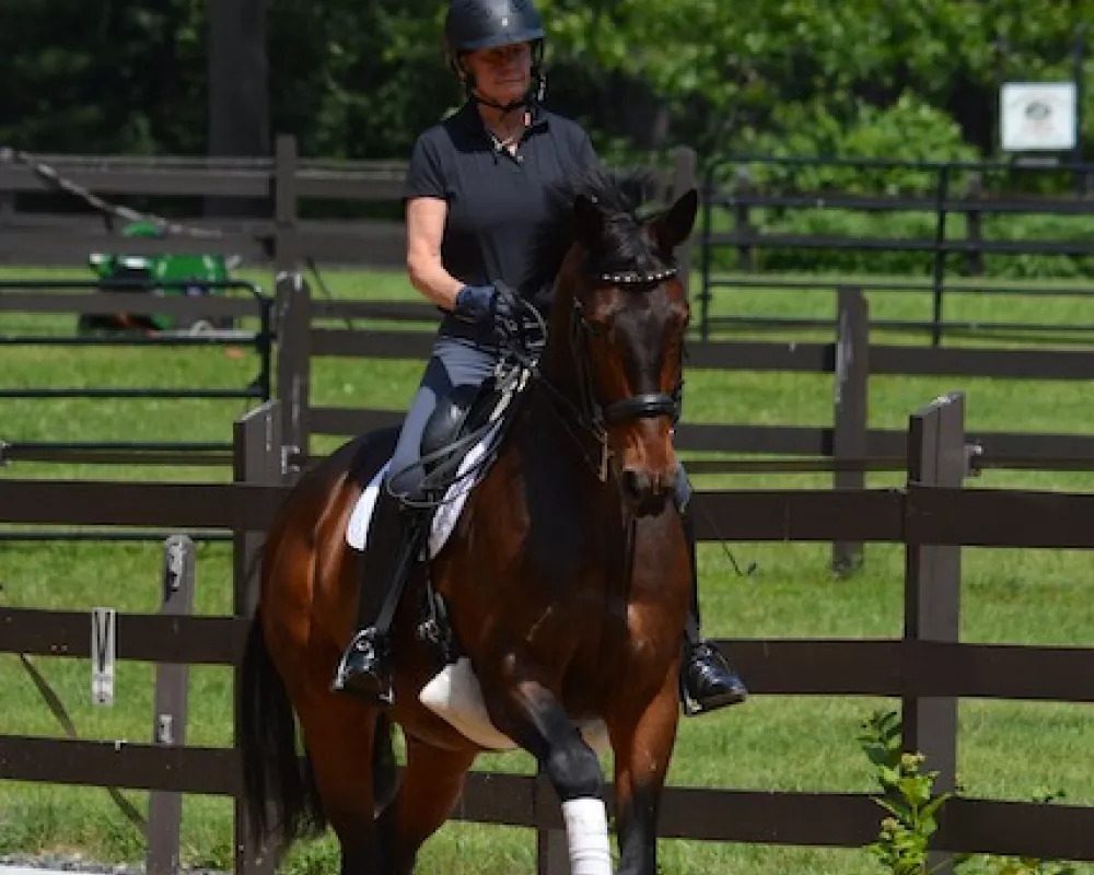 Jazz Beat Canter