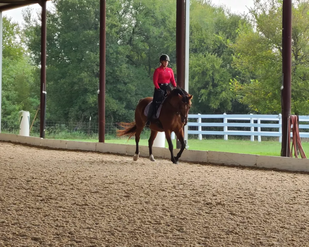 Duchess has been in multiple dressage clinics with top clinicians