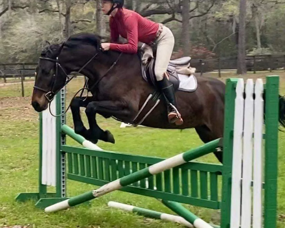 Great form over fences