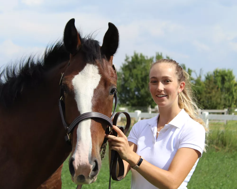 Registered Sport Horse