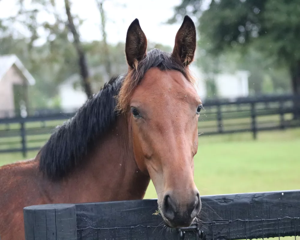 Cute headshot - meeting at the gate