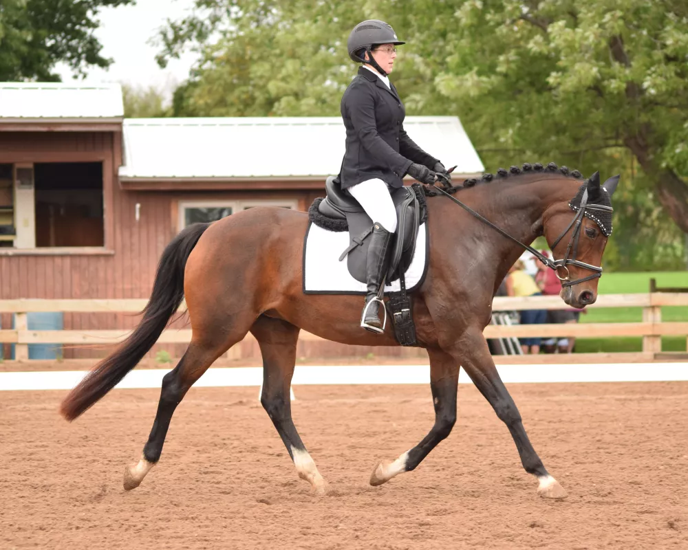 Tess trotting during a test