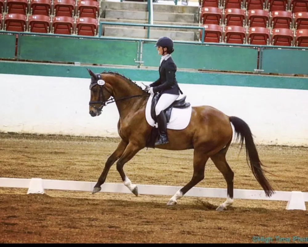 Johnson at Raleigh June Dressage Show 