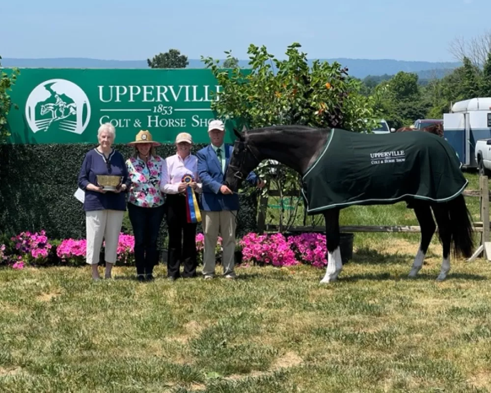 Best Young Horse at Upperville 2023