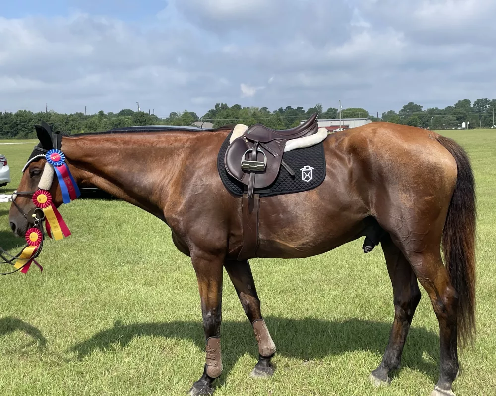 One first and two second place ribbons at 7/15/2023 show 