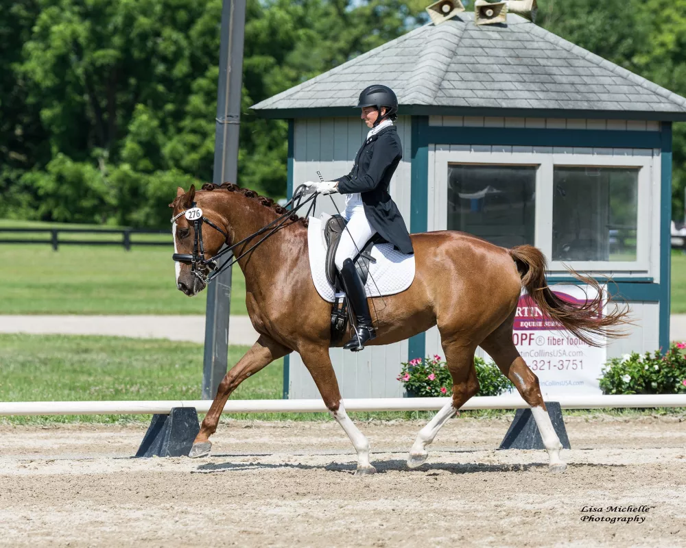 Trot