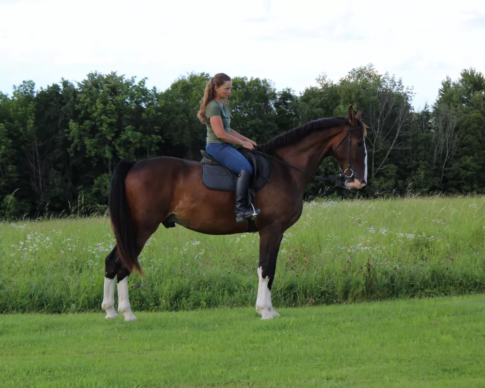 Parker standing under saddle