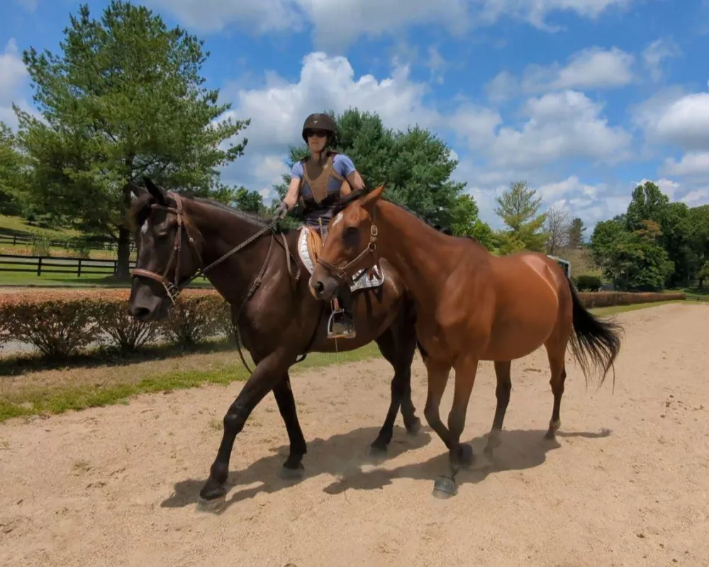 Sherman ponying another horse on training track
