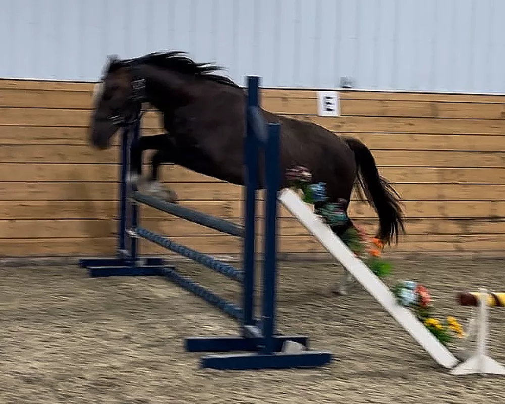 Screen capture of Freyja free jump