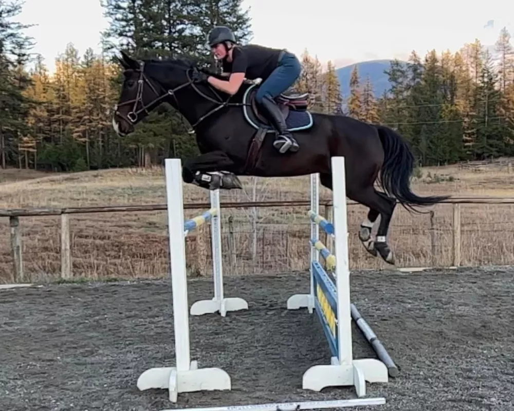 Farley schooling 1.25m at home 