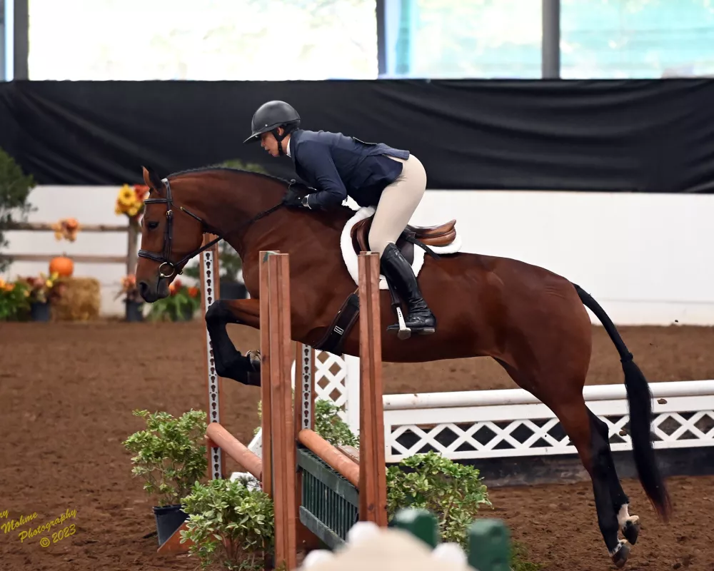 Devika in the 2023 $7500.00 3 and 4 Y/O Freestyle Performance Class