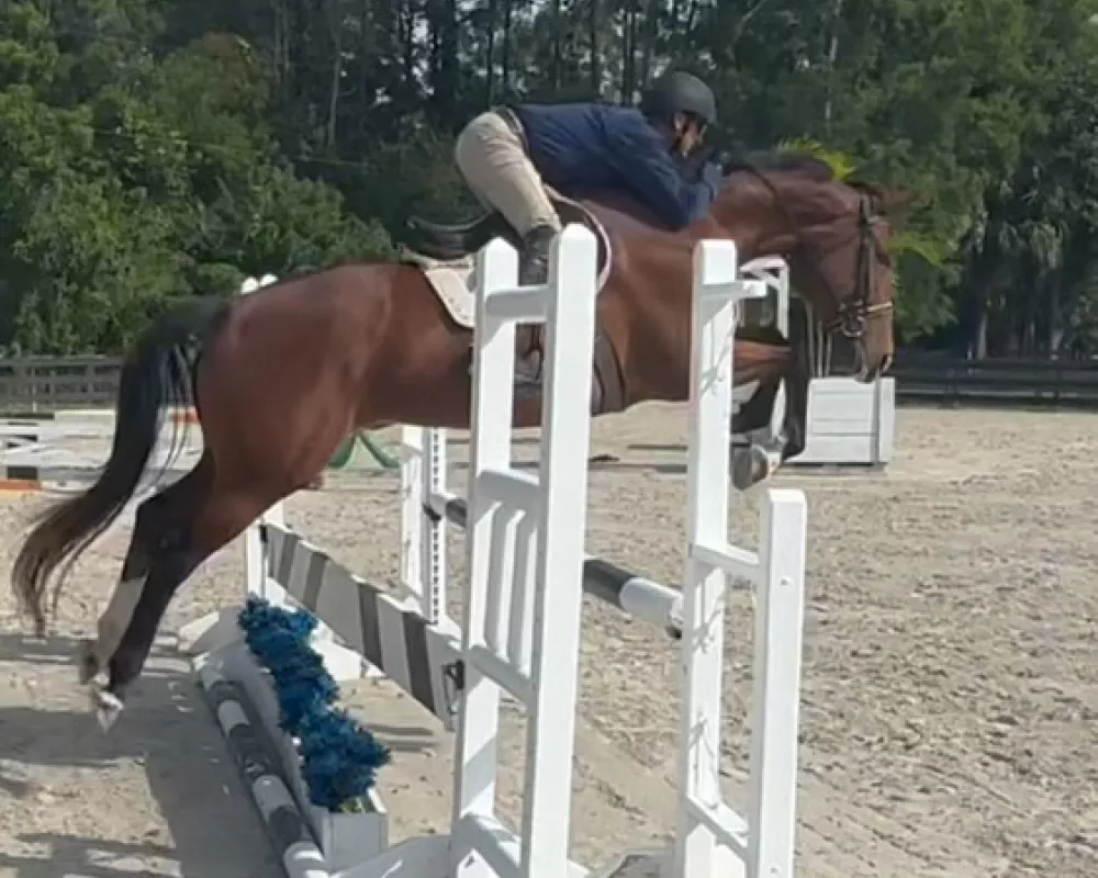 2024 jumping oxer
