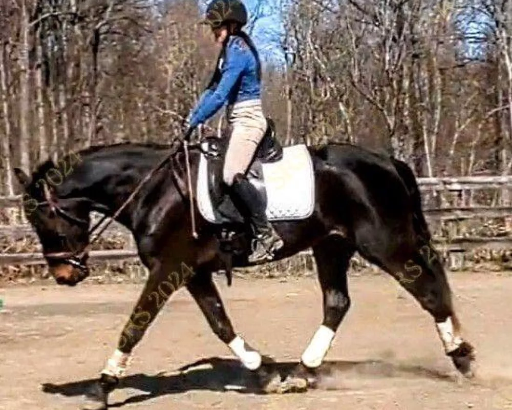 Armani stretchy trot outdoor