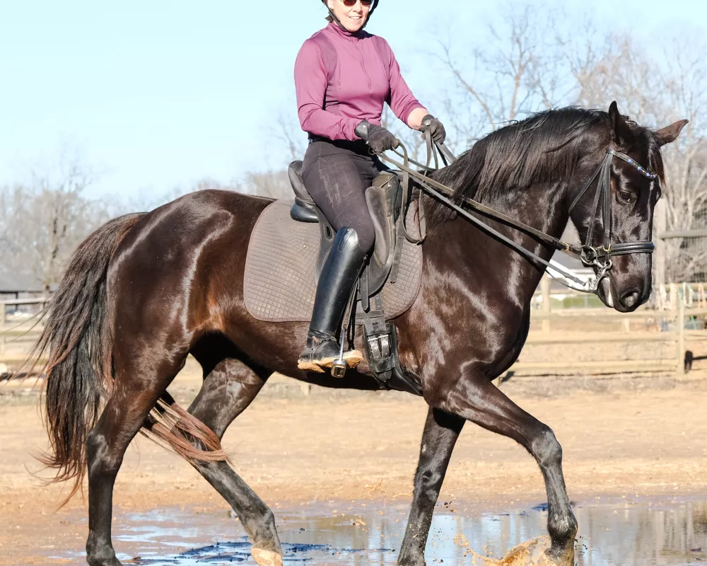 Amateur riding in a lesson 