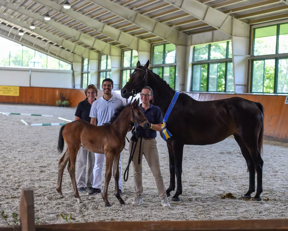 Dona Nobis at Hilltop Farm inspection