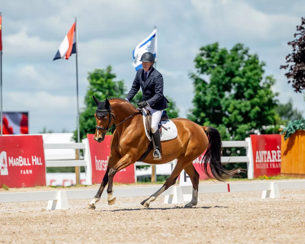 Starting her show career.  First place Training Level.  