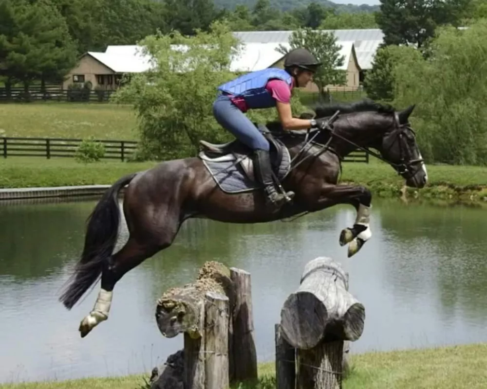 Magic xc oxer