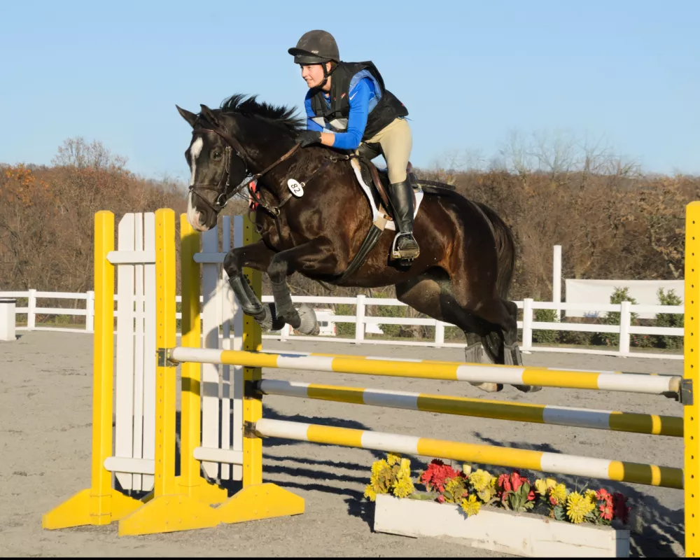 Magic yellow oxer