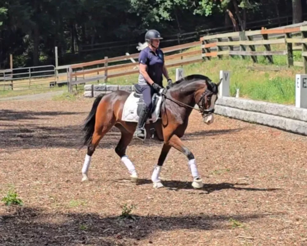 My 68 yr old mother riding her for only the 2nd time