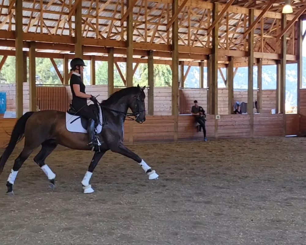 Clinic trot.