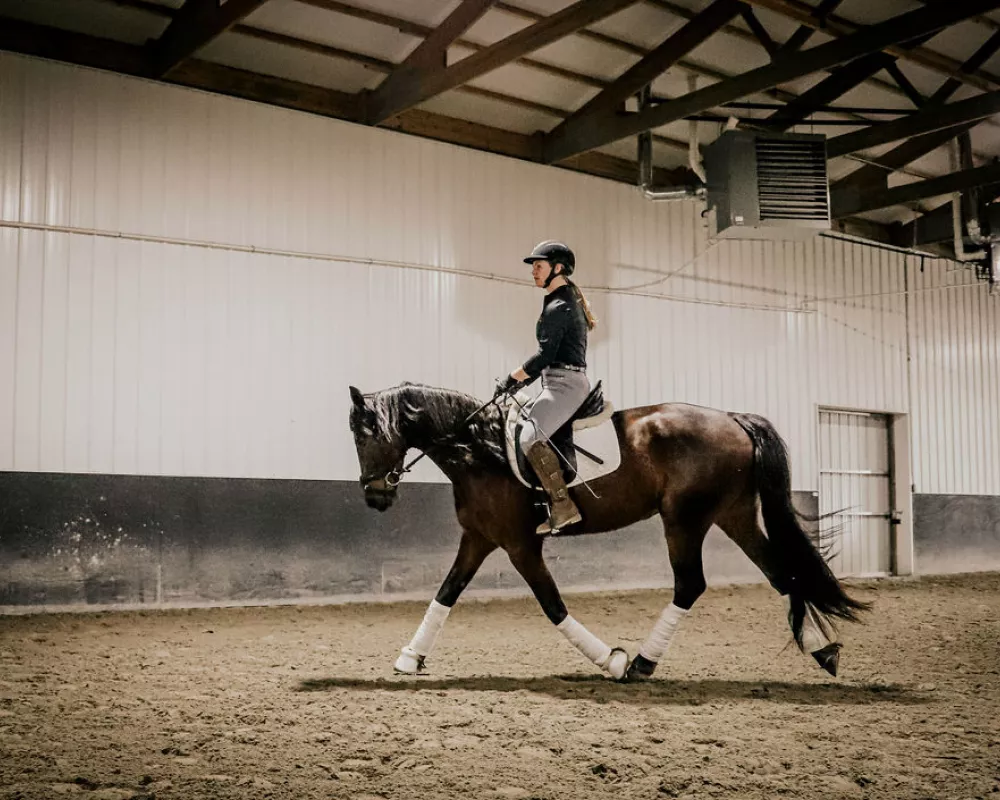 Jackson Arena riding