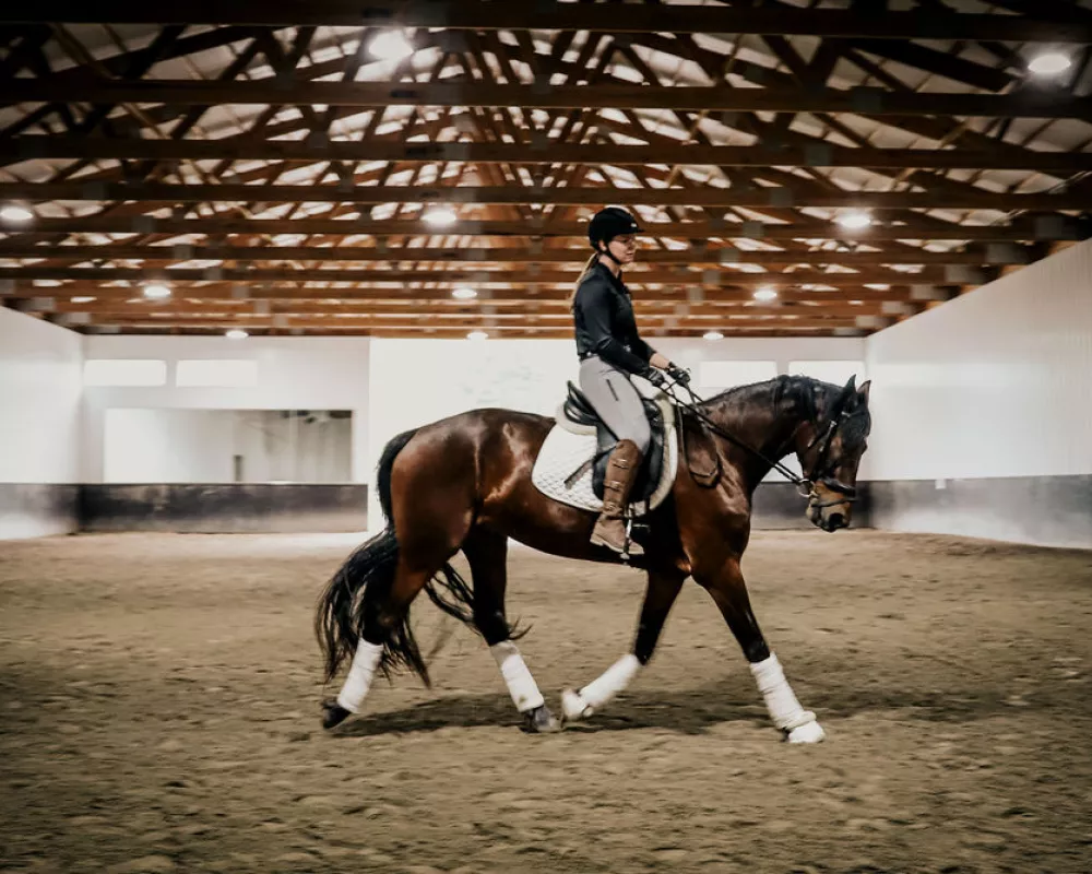 Jackson Arena riding