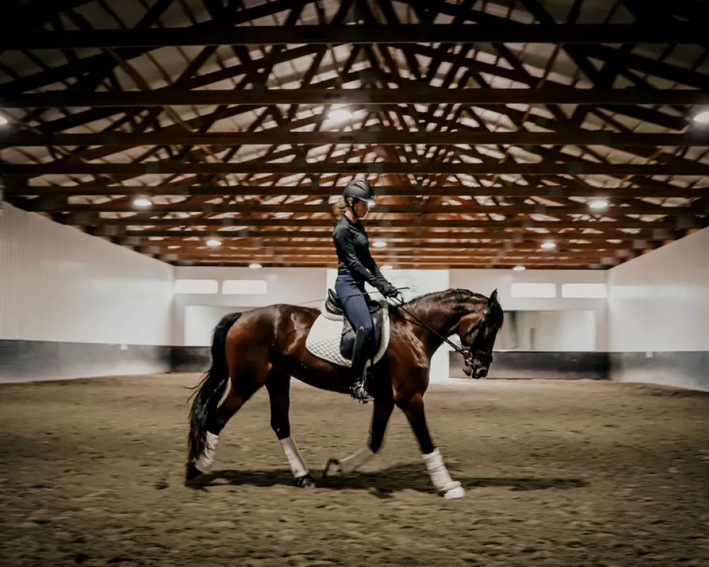 Jackson Arena riding