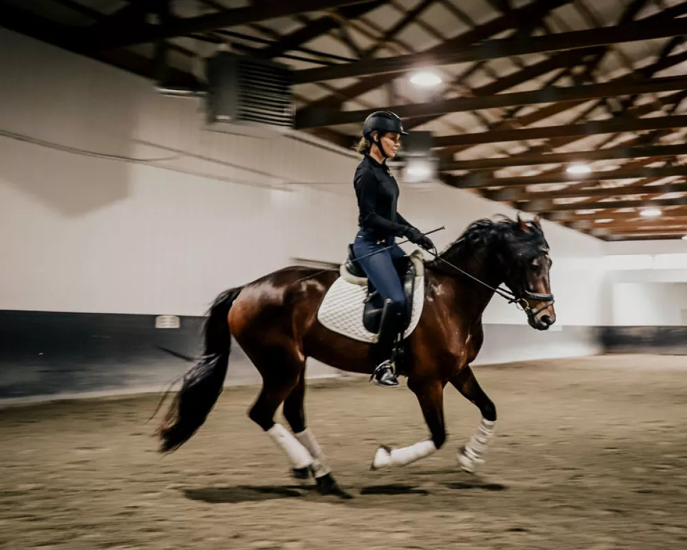 Jackson Arena riding